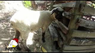 Acompañamiento técnico en el norte del Tolima