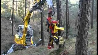 Durchforstung - Thinning works with the Menzi Muck Harvester A71