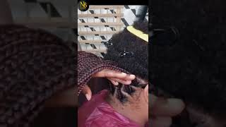 #shorts : Protective Hairstyle For A Cold Weather Using Braiding Hair Extensions