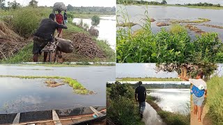 FLOOD HAS TAKEN OVER MY VILLAGE IN ANAMBRA STATE NIGERIA || FLOODING IN NIGERIA