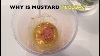 WHY IS MUSTARD YELLOW? Experiment