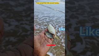 Two little fish life saved #arcade #trending #respect #sea #ytshorts #viralvideo #shorts