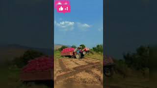 Tractor lover ❣️💯😎#viral #real #shorts #subscribe 🚩