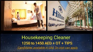 Jobs in Dubai - Housekeeping Cleaner  5* Hotel - Marketing Specialist- Candidates on Visit can apply