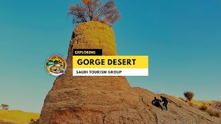 Exclusive Gorge Desert Exploring - STG|D2D