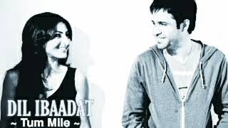 Dil Ibadat | Tum Mile | KK