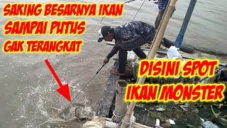 Gak Ada Yang Tau | Disini Spot Ikan Monster