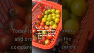 Fruit and flowers grown in the rooftop garden