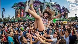 Best EDM Festival Music Mix 2017 🎆 New Electro House Party Dance Summer Mix