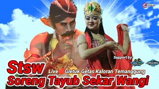 STSW......!!! SORENG TAYUB SEKAR WANGI LIVE MERTI DUSUN GLETUK GETAS KALORAN TEMANGGUNG