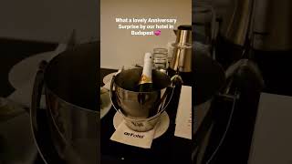 Lovely Anniversary Surprise by Budapest Hotel #ytshorts #hungary #surprise