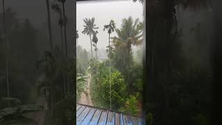 Heavy rain 🌧️ #shorts #rain #kerala #athirapilly