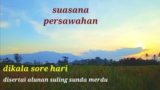 nggak disangka indahnya sore hari di suasana pedesaan#suasanapedesaan #sulingsunda #pemandangan