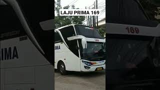 Miring Miring Style Versi bus Laju prima 169🌠#busmaniacomunity #shorts #videobus#busindonesia