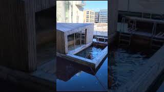 Outdoor sauna in Copenhagen Harbour. Available for rent. #travel #sauna #copenhagen