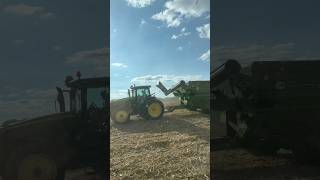 Harvest 2024 - Chopping some stalks… #harvest #farming #agriculture #johndeere #farm #farmlife