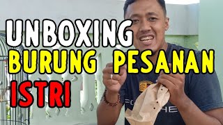 UNBOXING BURUNG UNTUK ISTRI, DIA SUKA GAK YA ?