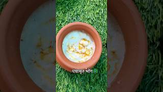 Laddu Gopal Ji Ke Liye Panchamitra Bhog 🥰 🦚 #shorts #laddugopal #minivlog #nidhirajput431