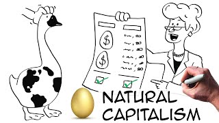 Natural Capitalism: definition & examples