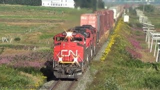 CN 8010 East, Overhead Into Nova Scotia 08-18-2013