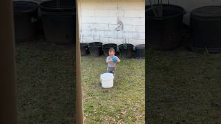 👶🏻BUCKETBALL🪣🏀 #goodvibes #toddleractivities #outdoorplaytime #simplejoys #lifewithatoddler #joy