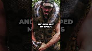 Joe Rogan & Paul Rosolie about the BIGGEST Anaconda #fyp #snake #shorts #scary