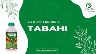 TABAHI (2,4-D Ethyl Ester 38% EC)