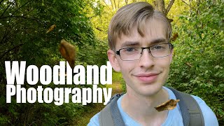 Trying Woodland Photography | Landscape Photography