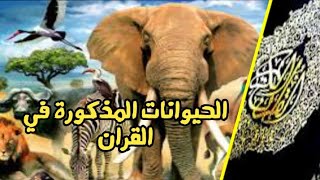 هل تعلم أسماء الحيوانات المذكورة في القران؟ تعرف عليها.