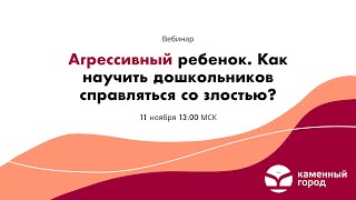 «Агрессивный ребенок. Как научить дошкольников справляться со злостью?»