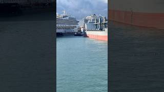 Cargo Ship Vs Cruise Ship #shorts