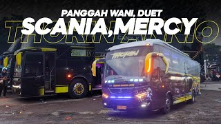 STJ‼️DUET SCANIA DAN MERCY PANGGAH WANI, TETAP LOSS DITENGAH GEMPURAN PERSAINGAN