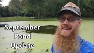 Pond Update - September 2020