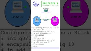 NanoBytes by Route Genix |  Configuring Router on a stick