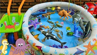 SEA ANIMALS FOR TODDLERS: OCTOPUS, MANTA RAY, STINGRAY, GROUPER, PUFFERFISH, AND OTHERS