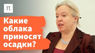 Осадки — Дарья Гущина / ПостНаука