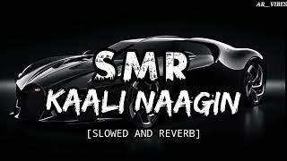 S  M  R Kaali Nagin Ke Jaisi Julfen Teri Kali Kali (Slowed and reverb)🎧🎶🐍||Udit Narayan ||AR__VIBES