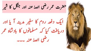 HAZRAT UMAR ( R.A ) AND JUNGLE'S'lION / حضرت عمر رضی اللّٰہ عنہ اور جنگل کا شیر