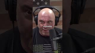 3 Month Salvia Trip Story | Joe Rogan #shorts