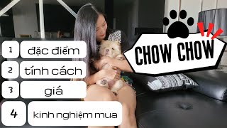 CHÓ CHOW CHOW - HÀNH TRÌNH ĐÓN THÀNH VIÊN MỚI | Review | MIMI OFFICIAL