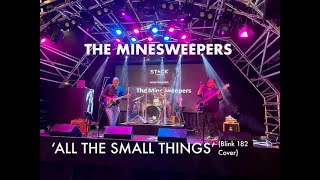 All The Small Things (Blink 182 Cover) - The Minesweepers