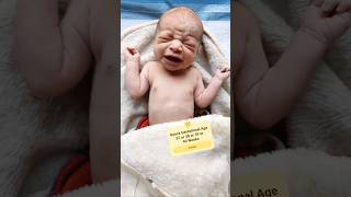 Adorable Newborn Baby First Cry @AfterBirth