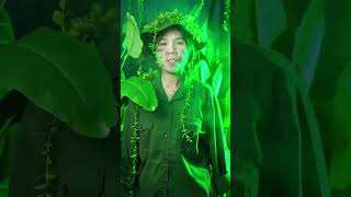 MÈO SIMMY - TỰ HÀO VIỆT NAM TRONG TIM TÔI  #tiktok #xuhuong #trending