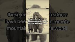 Yeti captured by mountain climber #youtubeshorts #scary #creepy