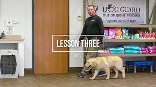 Golden Retriever Learns Off-Leash Heel Within An Hour | Off Leash K9 Training | Lansing