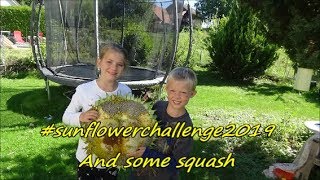 My biggest sunflower head and some squash harvested 13 09 19