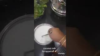 Coconut Milk For Paal Appam