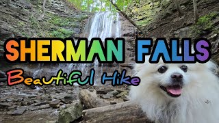 Filipina and Foreigner react to white polar bear dog found at waterfall - BIRDS 🐦 !!!!