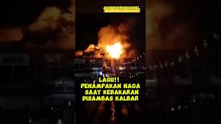 Viral!!! Api menyerupai Naga Di Kalimantan#Short