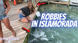 Florida Keys Travel Guide / Feeding TARPON at Robbies in Islamorada |